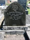 image of grave number 781145